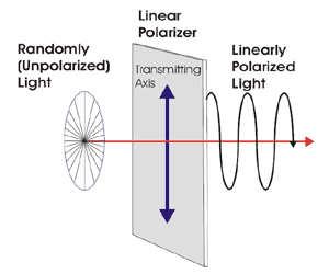 visible light linear polarizer